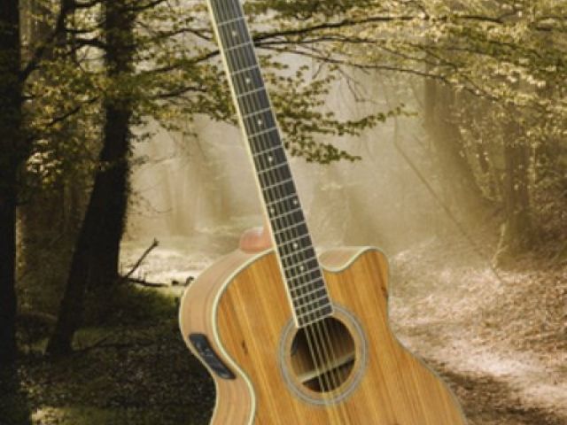 N5Z Native Zebrano electro-acoustic guitar